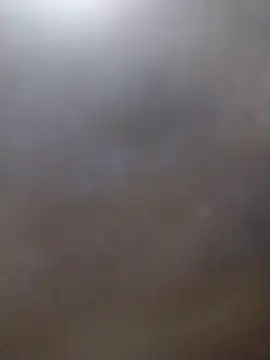 Snapshot of mantequita2 chatting on November 1, 6:39 am mantequita2 online show from November 1, 6:39 am