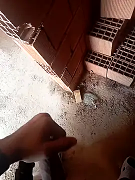 Snapshot of Kurtsikici@xh chatting on October 22, 9:46 am Kurtsikicixh online show from October 22, 9:46 am