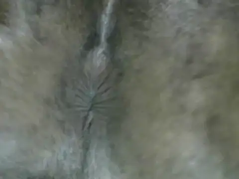 michel sc online show from September 15, 5:31 am