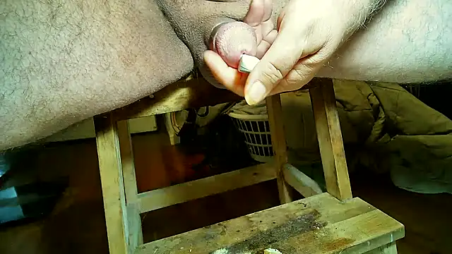 CBT FUN TIME online show from January 2, 3:48 am