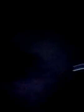 Bigloggz online show from February 13, 9:04 am