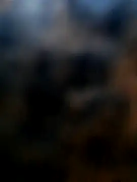 oldermanforwomen online show from February 3, 2:02 pm