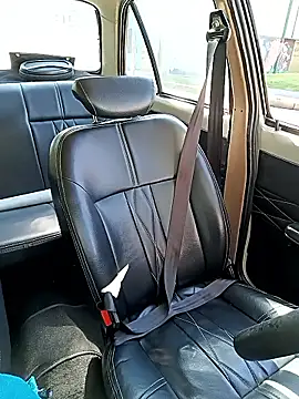 mosmar 20 online show from February 27, 1:44 pm