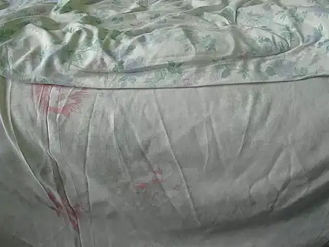 Tiger202441 online show from December 18, 10:08 am