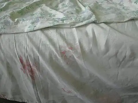 Tiger202441 online show from December 31, 12:04 pm