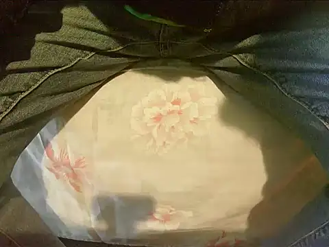 Tiger202441 online show from December 30, 9:48 am