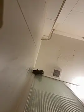 Pablo666666 hot online show from March 31, 7:37 pm