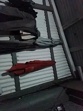 Algenis1232 online show from November 4, 7:31 am