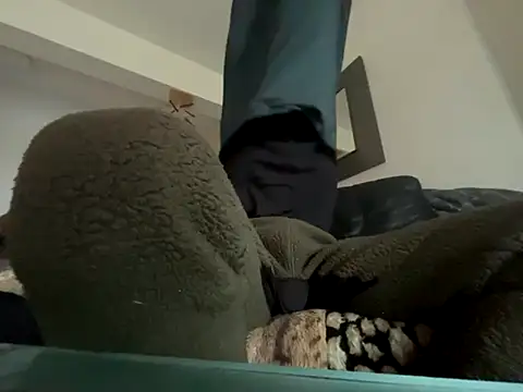 Germankink online show from November 15, 12:40 pm