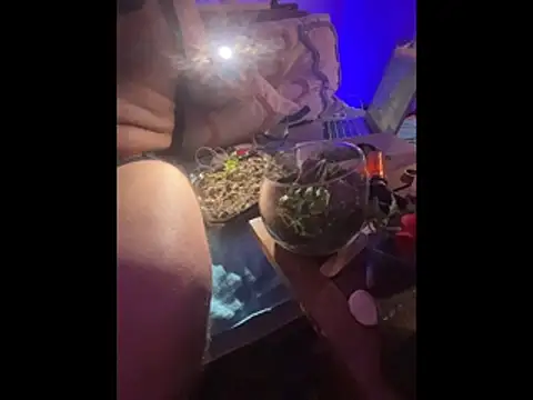 Alpha theking online show from December 15, 2:52 am