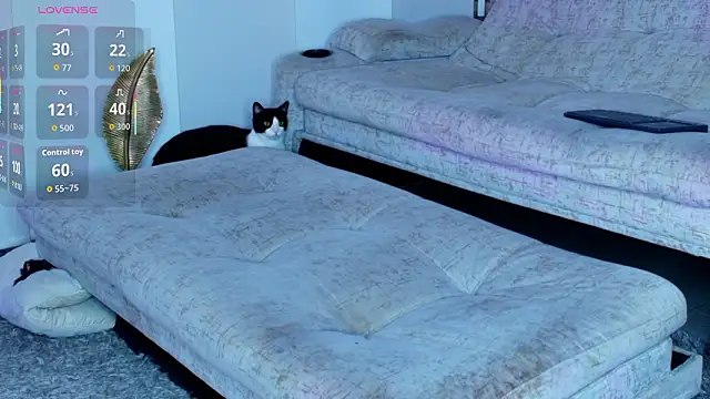 zaiin diesel online show from March 31, 9:55 am