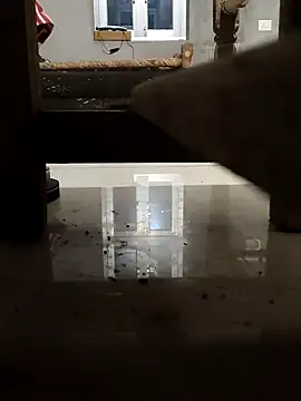 MAN MOHINI 21 online show from January 23, 1:45 pm