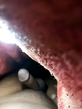 Nzfl97 online show from February 1, 10:44 pm