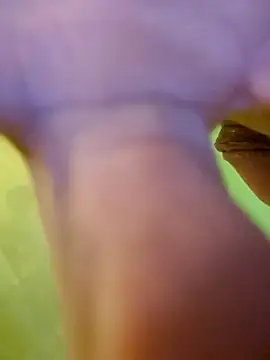 jorwee online show from January 15, 7:26 am