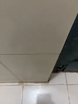 nangakings online show from December 17, 3:19 pm