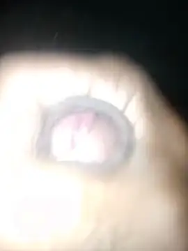 taylorWiiz online show from October 21, 5:54 am