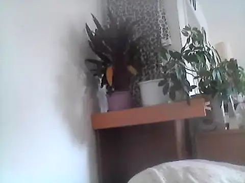 Bigpenis6y online show from January 24, 9:17 am