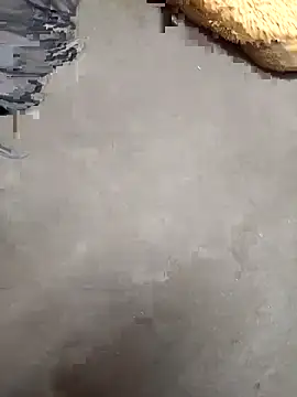 harshit7815 online show from September 17, 6:47 am