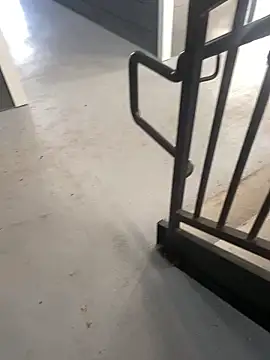 zeekBbc online show from October 28, 2:30 pm