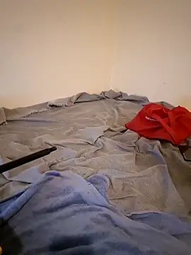 fox--3 online show from February 2, 2:21 am