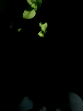 Snapshot of AloneDick chatting on October 17, 1:04 pm AloneDick online show from October 17, 1:04 pm