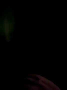 Snapshot of AloneDick chatting on October 3, 10:42 am AloneDick online show from October 3, 10:42 am