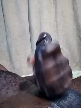 Dick undisputed online show from January 17, 8:13 am