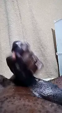 Dick undisputed online show from January 13, 12:19 am