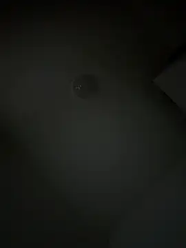 wolfwhite95 online show from April 3, 5:26 am