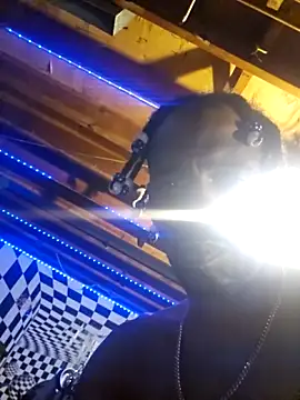 Cpp3377 online show from March 8, 9:13 am