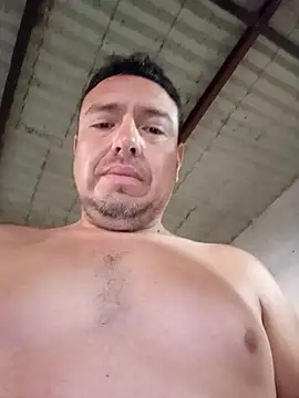 strip 1212 online show from November 27, 2:54 pm