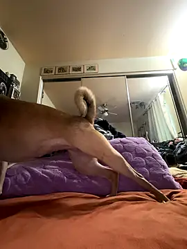 Johndoe2292 online show from September 22, 7:57 pm