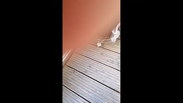 Warumnicht1980 online show from February 27, 11:22 am