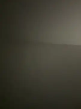 derFickerali online show from November 3, 1:54 am