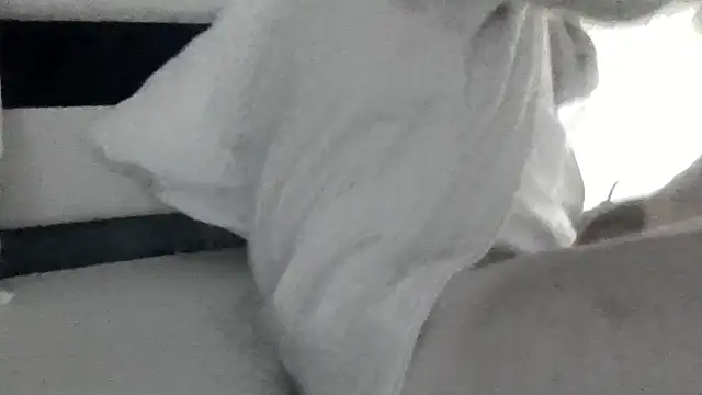 passif520 online show from February 17, 2:27 pm