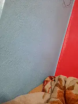 Sid0701 online show from February 3, 11:58 pm