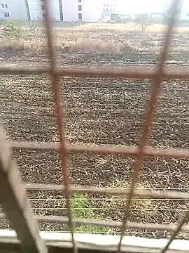 1010SumiT online show from January 27, 3:58 am