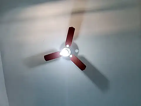 Snapshot of Gostozim7 chatting on February 5, 4:37 pm Gostozim7 online show from February 5, 4:37 pm