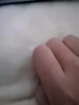 smailcat online show from December 7, 2:09 am