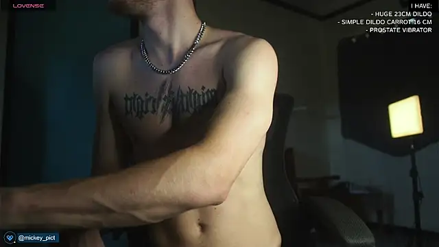 Snapshot of mickeypict chatting on December 16, 2:47 am mickeypict online show from December 16, 2:47 am