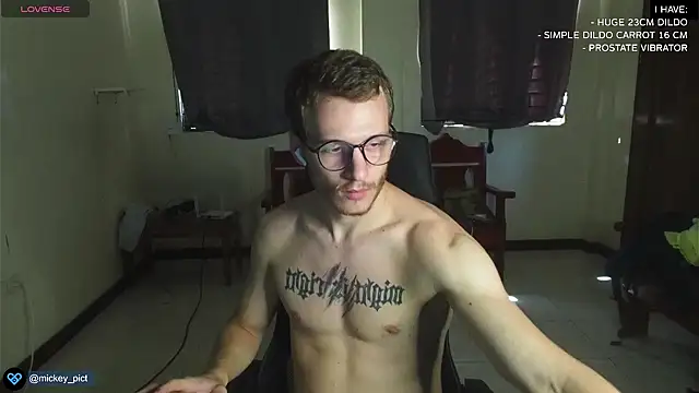 Snapshot of mickeypict chatting on December 29, 5:53 am mickeypict online show from December 29, 5:53 am