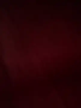 tripexnte online show from February 13, 7:45 am