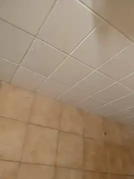 moder066 online show from December 11, 7:43 pm