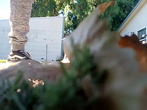 DevinToore online show from October 27, 8:33 pm