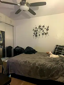 PEGATIVET online show from November 22, 1:27 am