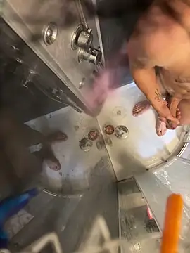 lescro95  online show from October 6, 2:22 pm