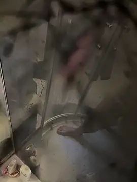 lescro95  online show from October 16, 3:20 pm