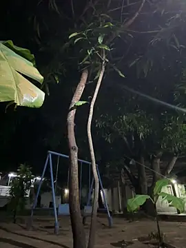 Erick-90 online show from October 21, 5:54 am