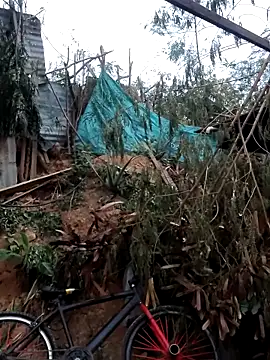 tayson  online show from February 7, 11:39 am