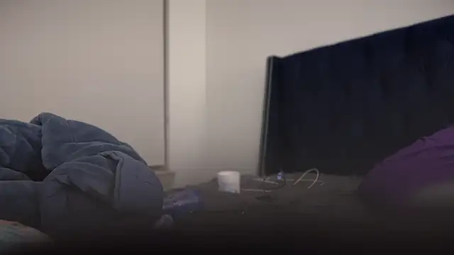 bearcloudcomputa online show from January 29, 11:56 pm